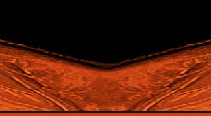 diseador de moda alemn Torsten Amft.